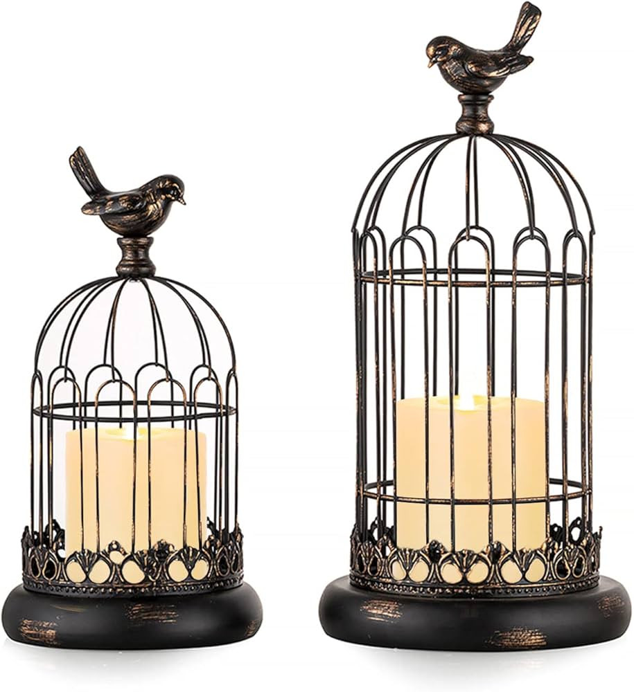 Romadedi Bird Cage Decor Lanterns Decorative - Set of 2 Birdcage Candle Holders for Pillar Candle... | Amazon (US)