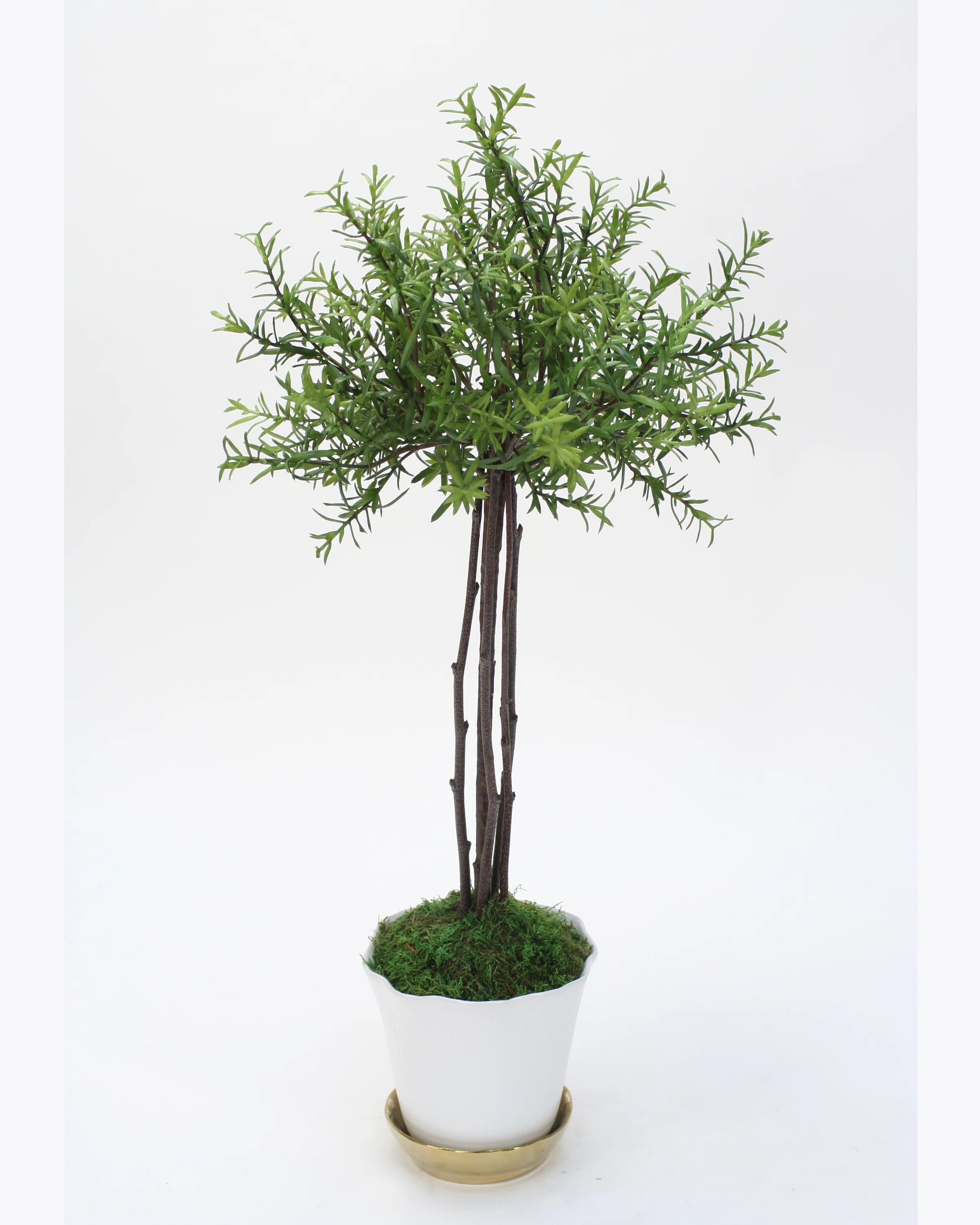 Charlton Home® | Wayfair North America