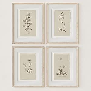 Wall Art Botanical Plant Prints | Vintage Flower Boho Minimalist Floral Artwork Decor for Bedroom... | Amazon (US)