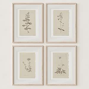 Wall Art Botanical Plant Prints | Vintage Flower Boho Minimalist Floral Artwork Neutral Decor for... | Amazon (US)