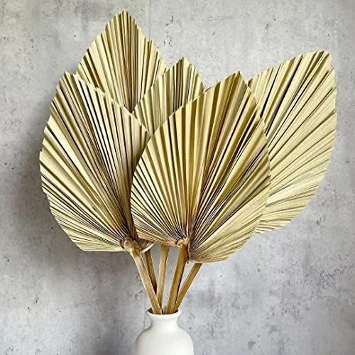 5Pcs 18" H x 6.5" W Trimmed Dried Palm Leaves, Dried Palm Spear, Boho Wedding Decor, Hawaiian Luau P | Amazon (US)