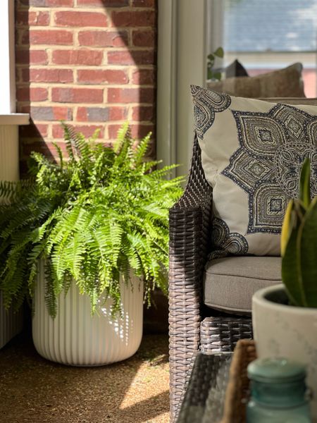 Drop a fern into one of these fluted planters for lush greenery without breaking the bank! 

#LTKSeasonal #LTKunder50 #LTKhome