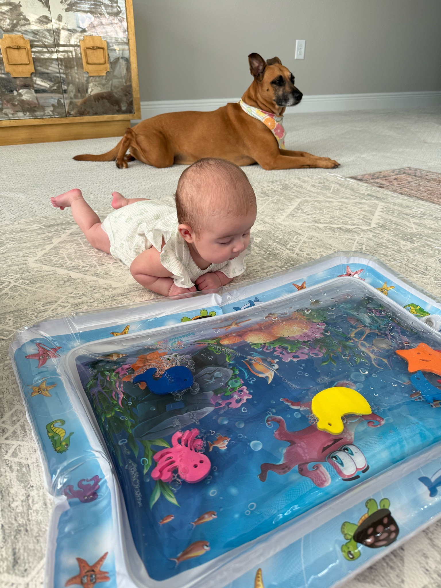 Loving this water mat! 

#LTKKids #LTKBaby
