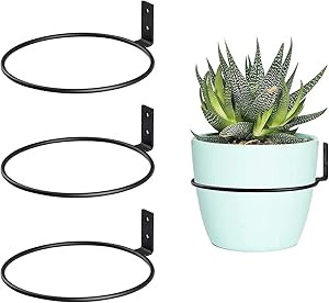 TreeLen 6 inch Flower Pot Holders for Outside,3 Pack Heavy Duty Flower Pot Ring Wall Bracket for ... | Amazon (US)