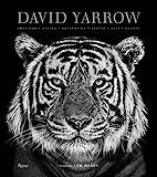 David Yarrow Photography: Americas Africa Antarctica Arctic Asia Europe    Hardcover – October ... | Amazon (US)