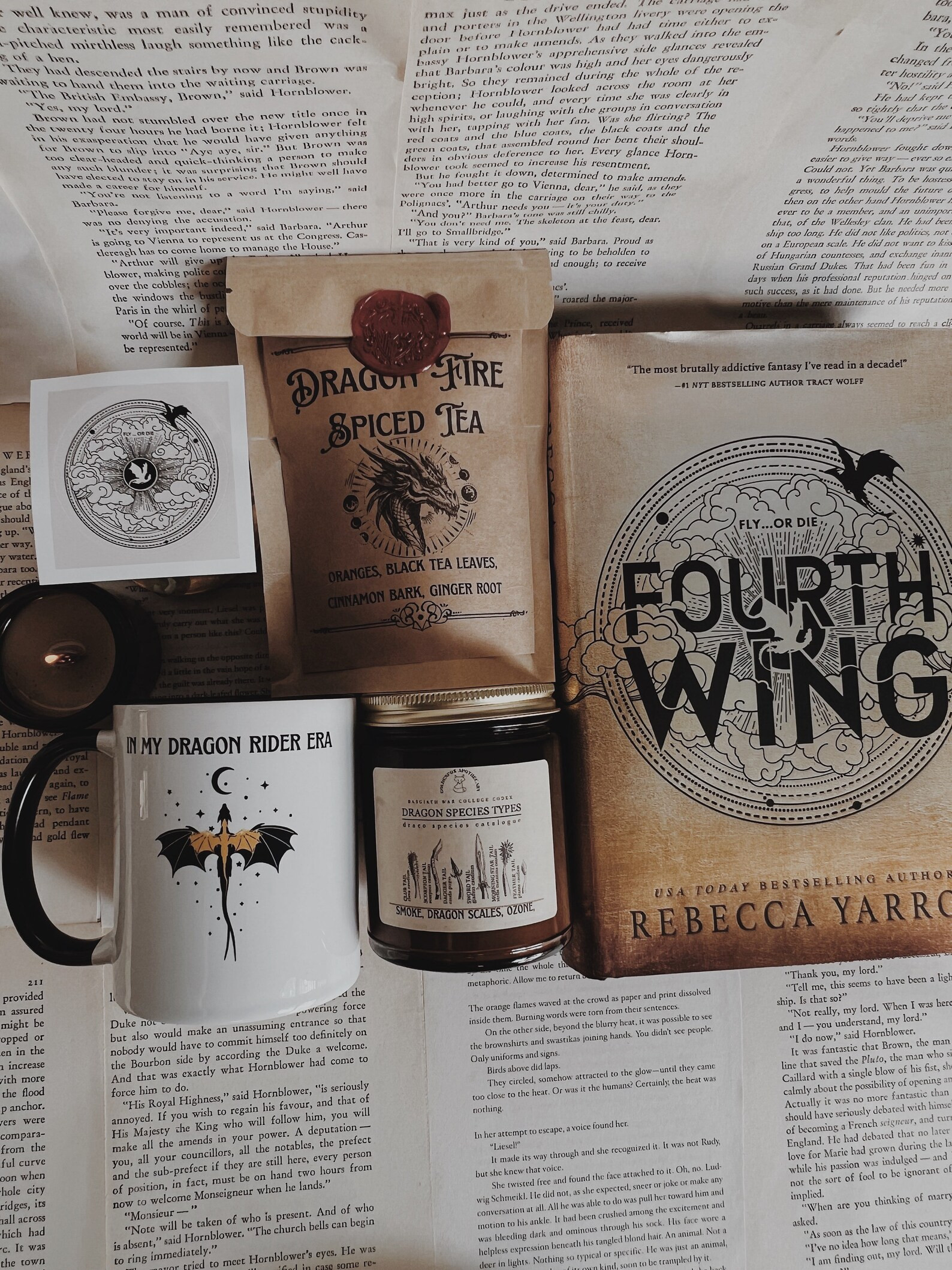 Fourth Wing Bookish Gift Box Violet Sorrengail Xaden - Etsy | Etsy (US)