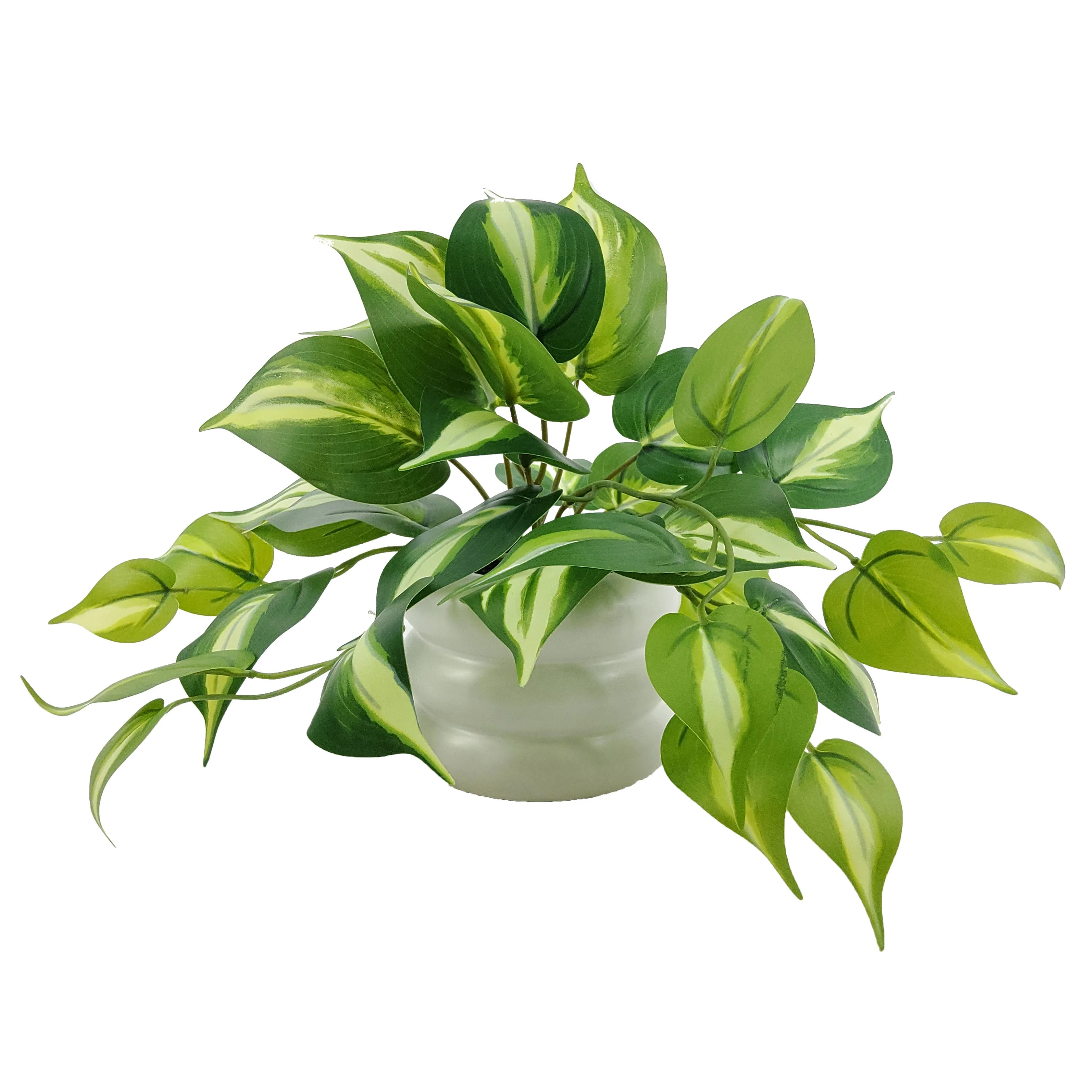 Mainstays 9'' Indoor Artificial Pothos with Bubble Vase, White Ceramic Vase, Green Pothos | Walmart (US)