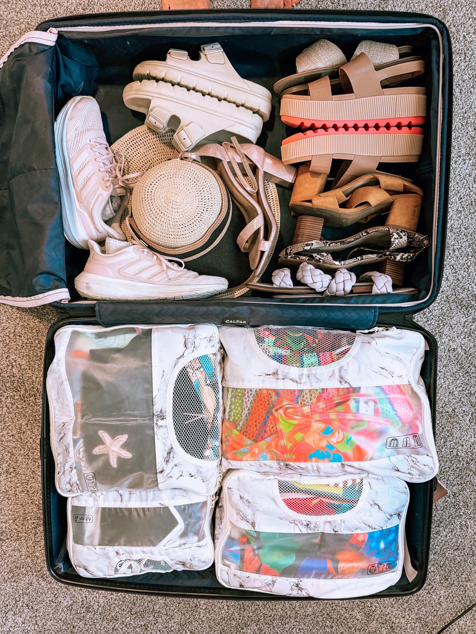 Packing essentials! Packing cubes, jewelry organizer, toiletry bag, hard case suitcase with wheels - everything I use to pack and stay organized! 

Vacation. Amazon. Travel.

#LTKFindsUnder100 #LTKFindsUnder50 #LTKTravel