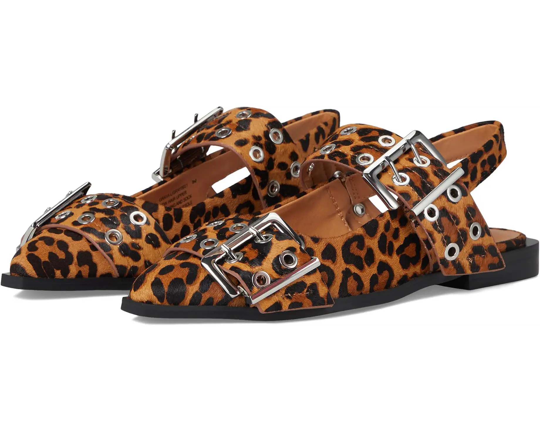 Graya | Zappos