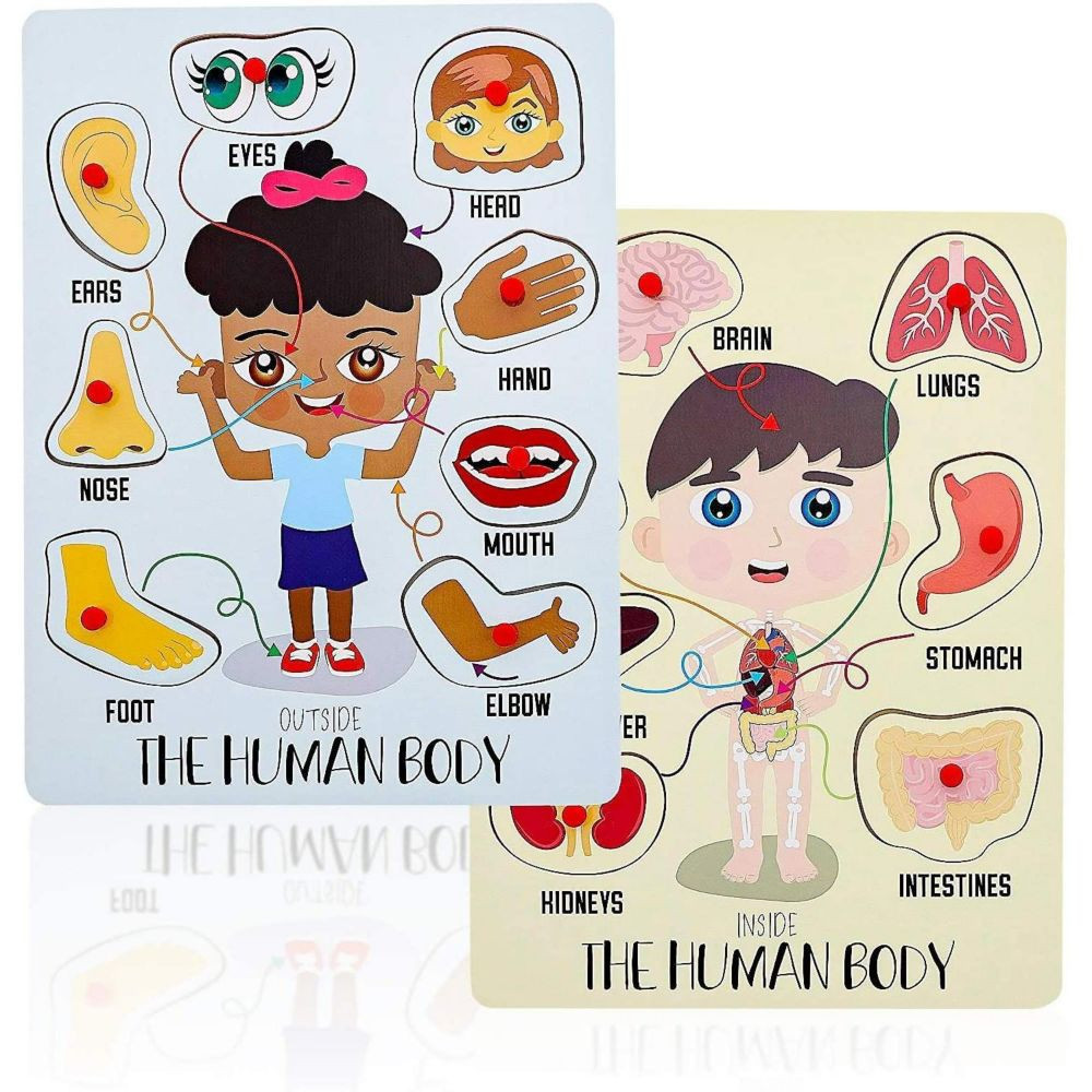 2 Pack Educational Wooden Peg Puzzle for Toddler & Kids, My Human Body Parts, 12 x 9 in | Oriental Trading Company