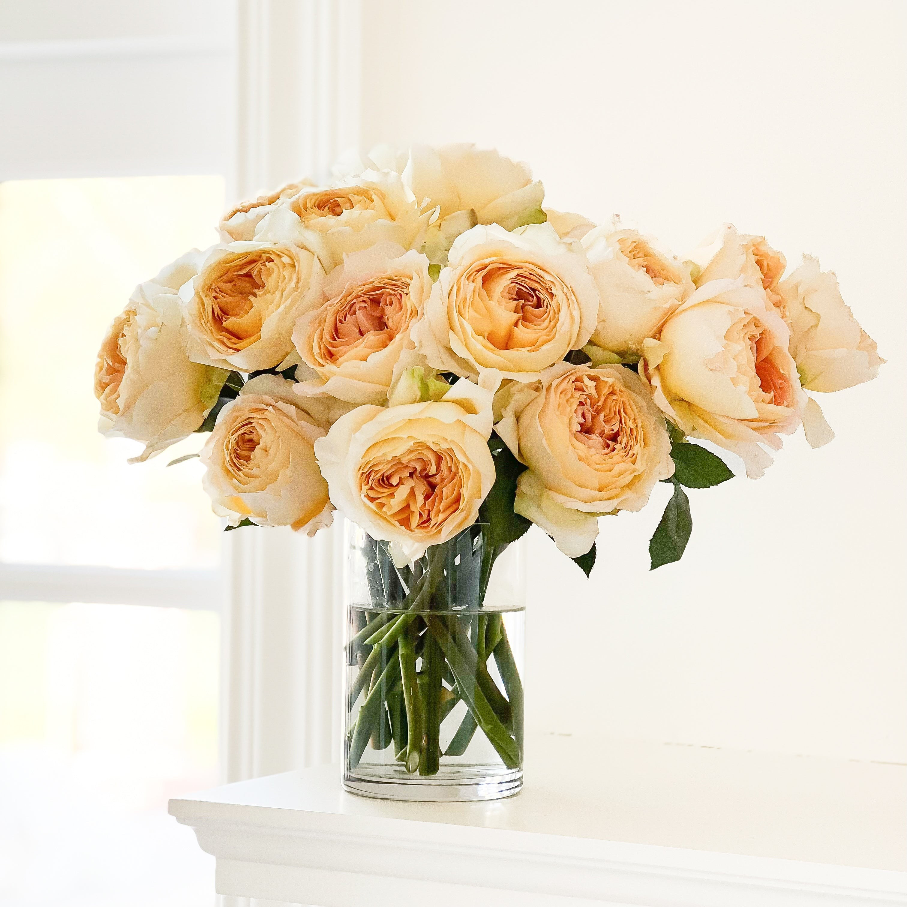 Caramel Antike | grace rose farm