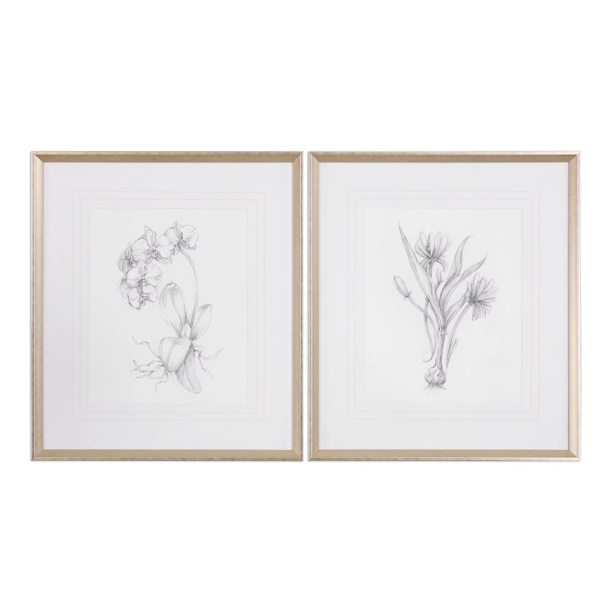 Uttermost 33649 Botanical Sketches Two Piece Framed Botanical Print Set By Grace - Silver | Walmart (US)