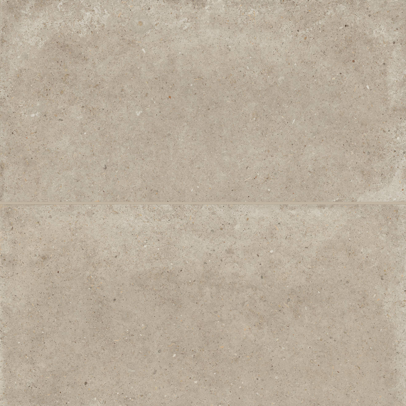 Poetry Stone 24" x 48" Matte Porcelain Field Tile in Ecru | Bedrosians Tile and Stone