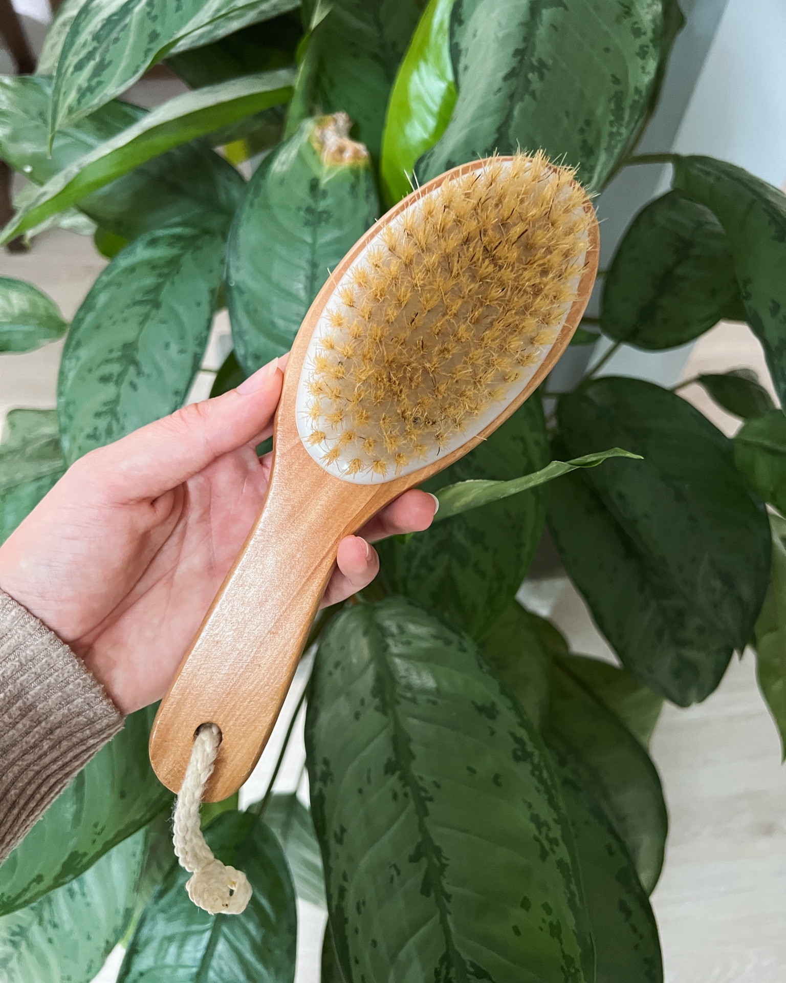Dry brushing has been a GAME CHANGER! So good for your lymphatic system.


#LTKBeauty #LTKActive #LTKGiftGuide