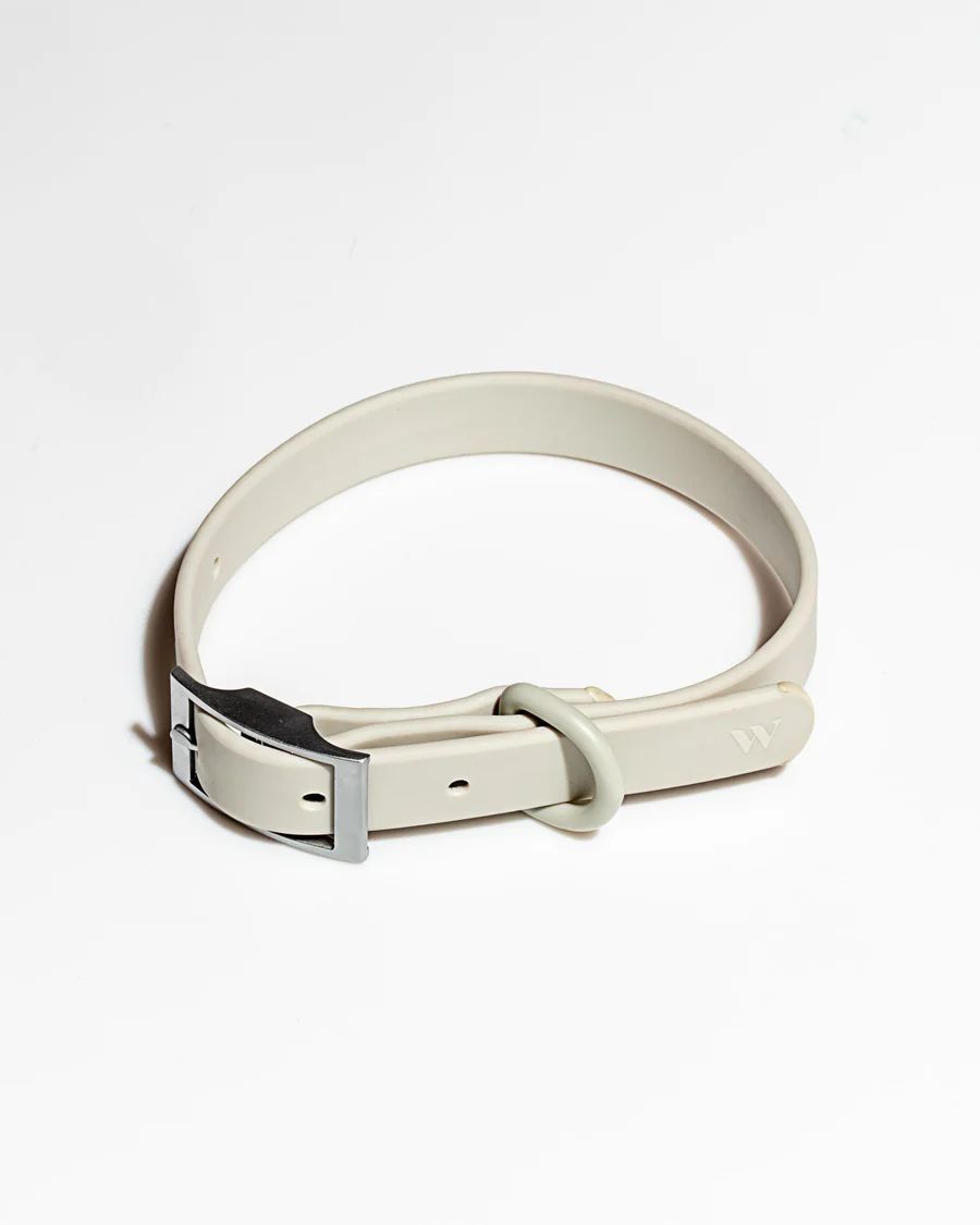 Dog Collar | Wild One | Wild One