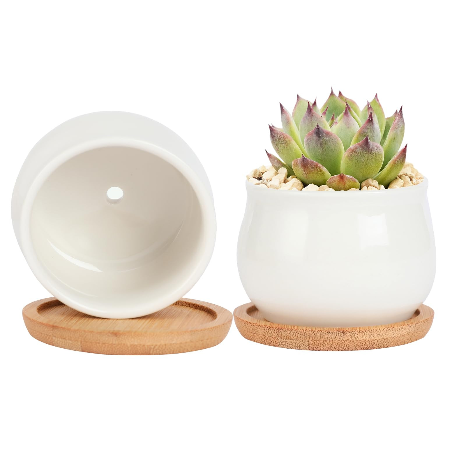 SHECIPIN 2 Pack Succulent Pots, 2.5 Inch Mini Ceramic Pots for Flower or Cactus Plants with Drain... | Amazon (US)