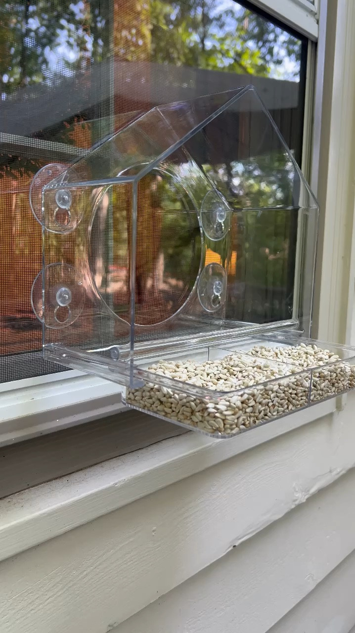 Acrylic Window Bird Feeder 

#LTKFindsUnder50 #LTKGiftGuide