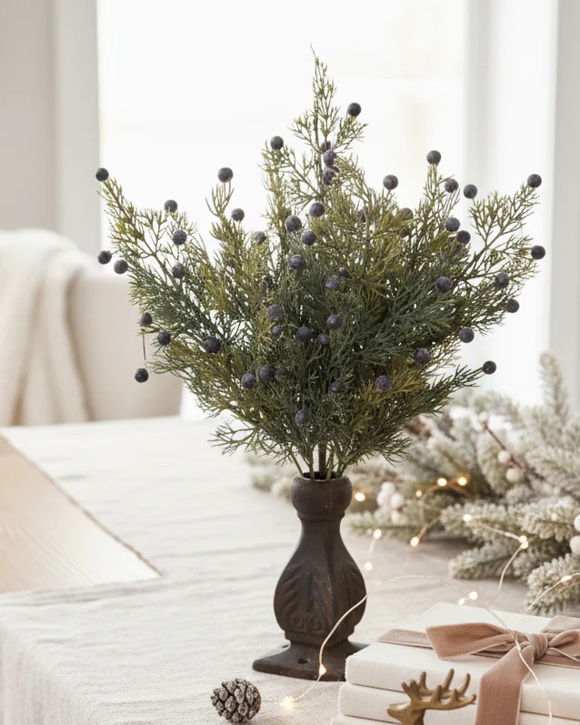 Juniper Berry Bush | MJHome