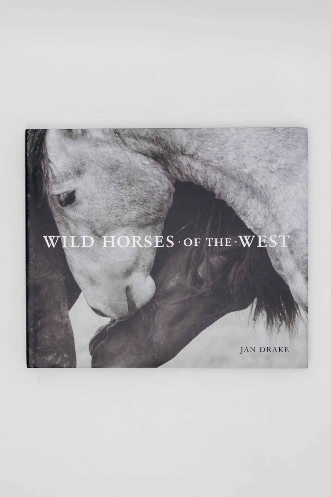 Wild Horses of the West | THELIFESTYLEDCO