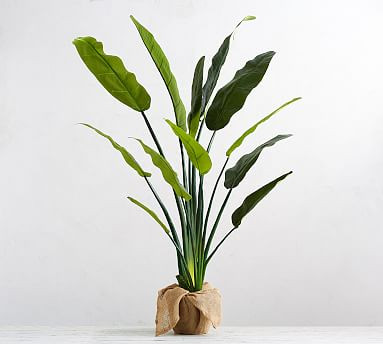 Faux Potted Bird of Paradise Palm Tree - Large 70"H | Pottery Barn (US)