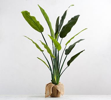Faux Potted Bird of Paradise Palm Tree - Large 70&quot;H | Pottery Barn (US)