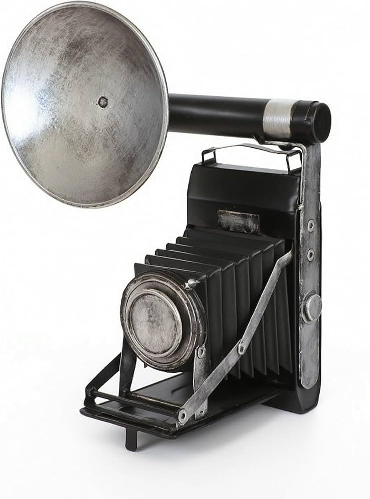 Camera Model Industrial Camera Model Metal Decor for Cafe, Studio | Amazon (US)