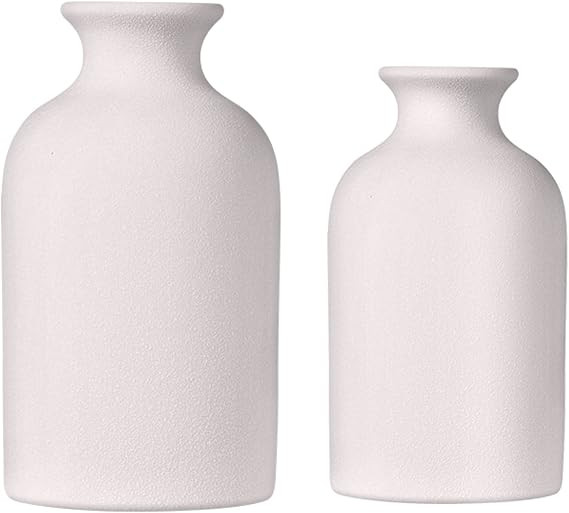 White Ceramic Vases for Decor Set of 2, Dried Flower Vase for Living Room, Table, Modern Farmhous... | Amazon (US)