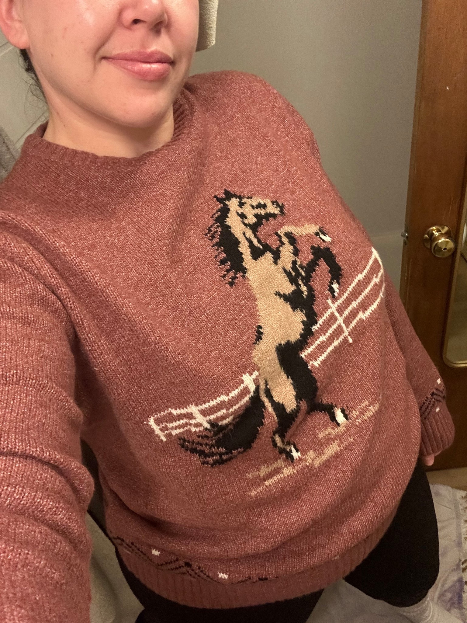 Cozy horse sweater 