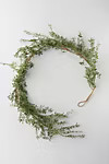 Faux Jasmine Garland | Anthropologie (US)