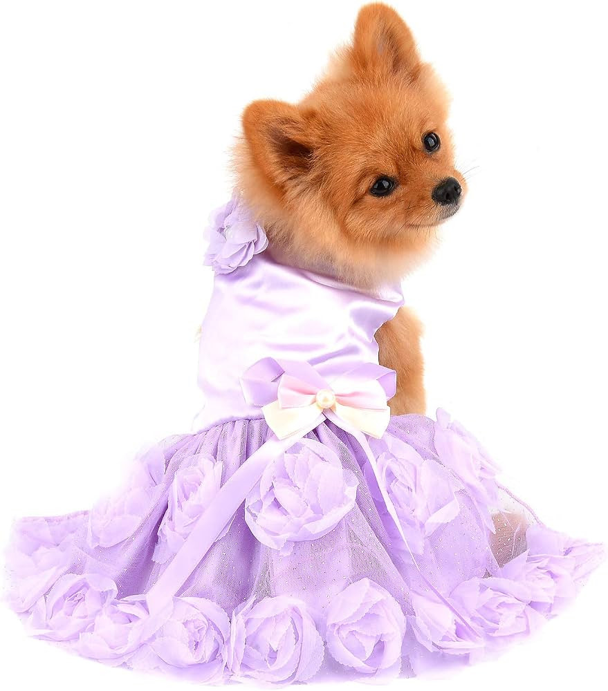 Pet Dress for Small Dog Girls Luxury Puppy Wedding Dress Rose Flower Lace Tutu Skirt Silky Bow Bi... | Amazon (US)