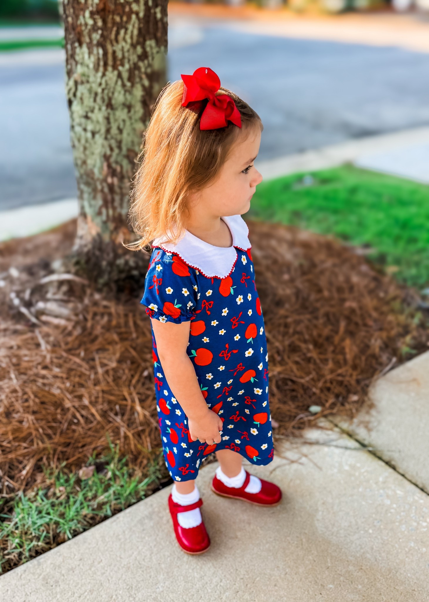 This little The Oaks Apparel dress is the perfect school or fall transition piece. I love the classic Peter Pan collar, playful apple print, and how timeless it feels while still being so comfy for littles. Paired with red Mary Janes and a bow, it’s picture-day ready! ✨

👉 Linking this sweet style + similar finds for back-to-school moments.

#TheOaksApparel #BackToSchoolStyle #ClassicChildrensClothing #ToddlerStyle #PictureDayReady #LTKkids #LTKbacktoschool



#LTKKids #LTKStyleTip #LTKSeasonal