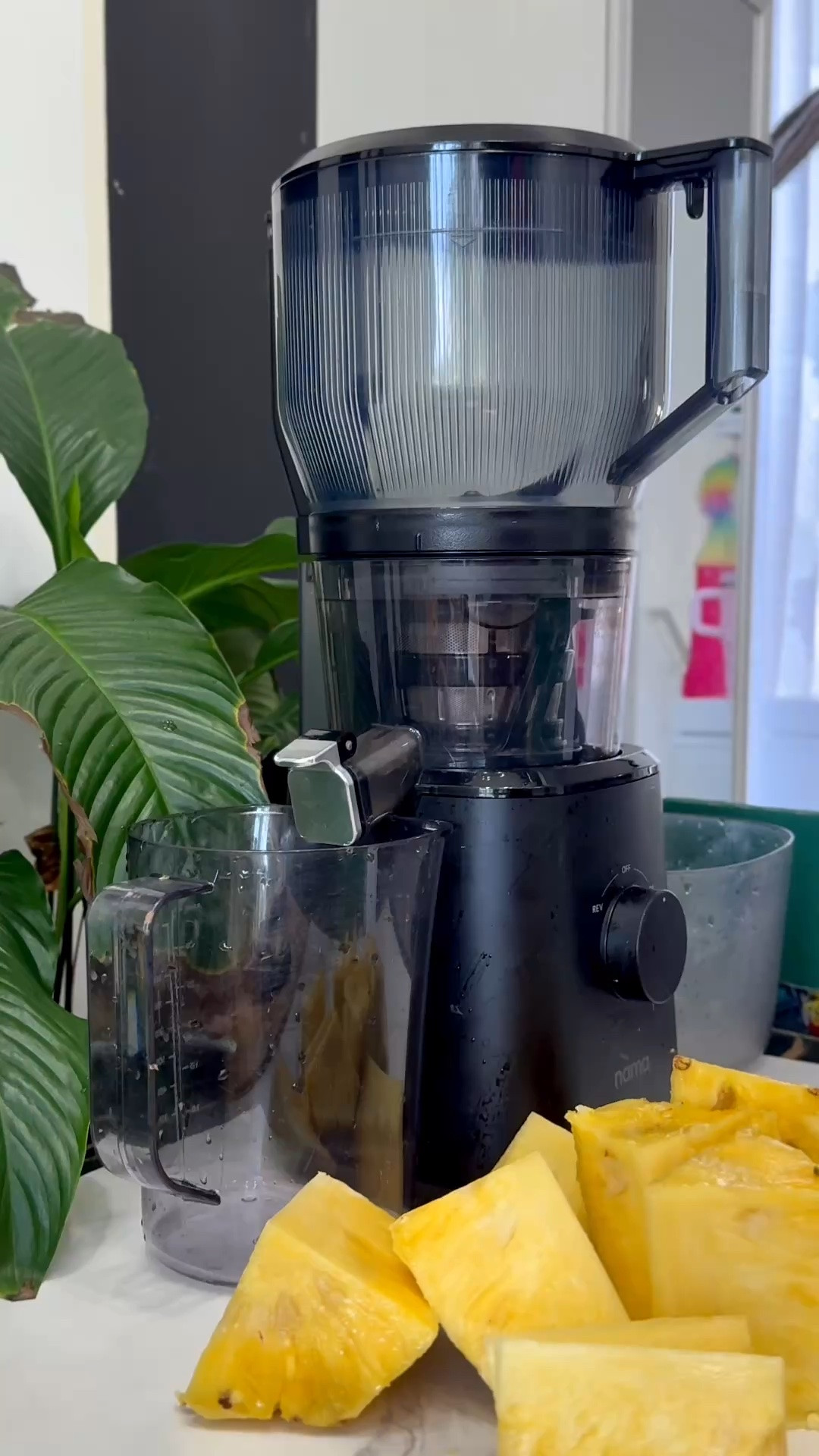 I wanted pineapple juice… 
so I made FRESH PINEAPPLE JUICE. 

That’s literally one of my favorite things about owning a juicer.

No running to the store.
No bottled juice with extra ingredients.
No complicated recipe.

I grabbed ONE PINEAPPLE, cut it up, threw it into my Nama J2 Cold Pressed Juicer and baby… 
FRESH pineapple juice in minutes!!!

Pineapple juice is easily one of my FAVORITES because it’s naturally sweet, refreshing and packed with nutrients.
🍍 Vitamin C
🍍 Antioxidants
🍍 Bromelain, an enzyme that supports digestion
🍍 Hydration
🍍 Nutrients that support immune health

Sometimes juicing really can be THIS simple.
You don’t need 10 ingredients.
You don’t need a complicated recipe.
Sometimes you just need ONE PINEAPPLE AND A GOOD JUICER. 
And I use and LOVE my Nama J2 Cold Pressed Juicer.

#JuicingWithPriiincesss #PineappleJuice #FreshPineappleJuice #FreshJuice #NamaJ2 NamaJuicer ColdPressedJuice JuicingJourney DailyJuicing JuicingLifestyle JuiceRecipes HealthyDrinks HealthyHabits GutHealthJourney AtlantaCreator

#LTKCon #LTKfoodie #LTKHome