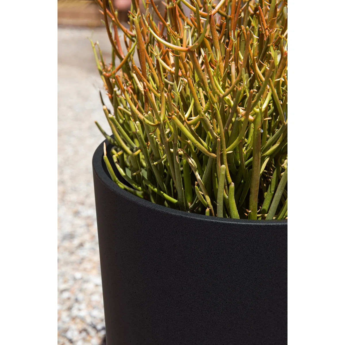 Mason Series Kona Planter | Wayfair North America