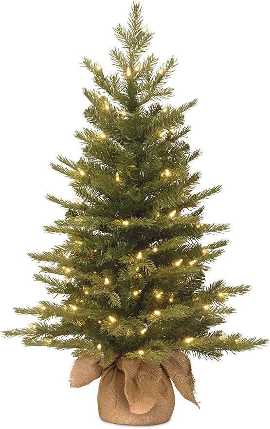Amazon.com: National Tree Company Pre-Lit 'Feel Real' Artificial Mini Christmas Tree, Green, Nord... | Amazon (US)