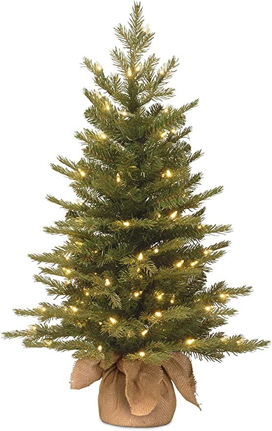 National Tree Company Pre-Lit 'Feel Real' Artificial Mini Christmas Tree, Green, Nordic Spruce, W... | Amazon (US)