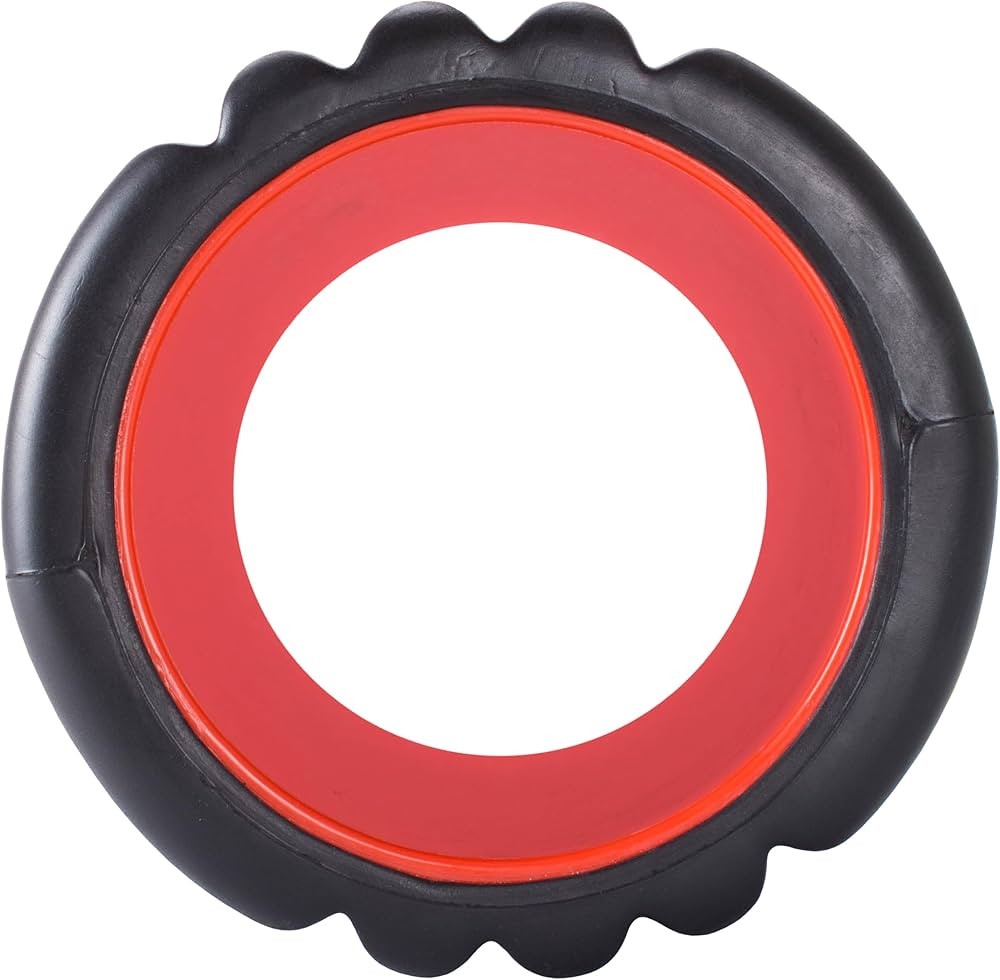 Trigger Point Performance TriggerPoint GRID X Foam Roller with Free Online Instructional Videos, ... | Amazon (US)