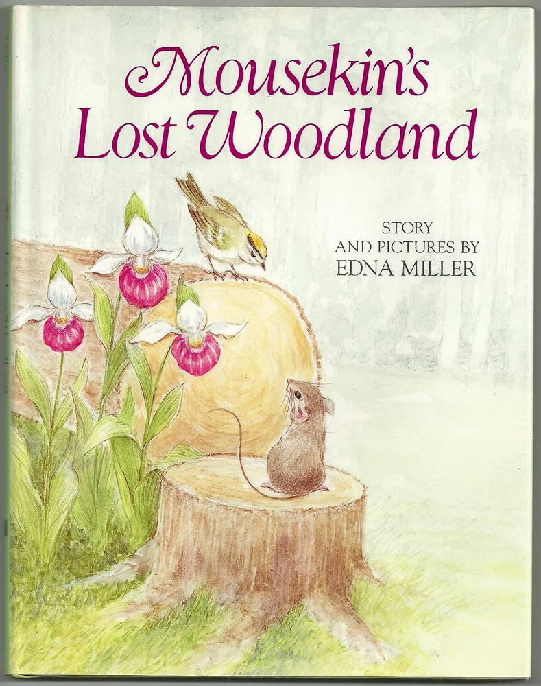 Mousekin's Lost Woodland | Amazon (US)