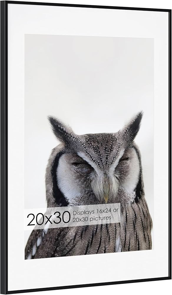 20x30 Metal Picture Frame with 16x24 Mat, Brushed Aluminum Finish, Tempered Glass Front, and Atta... | Amazon (US)