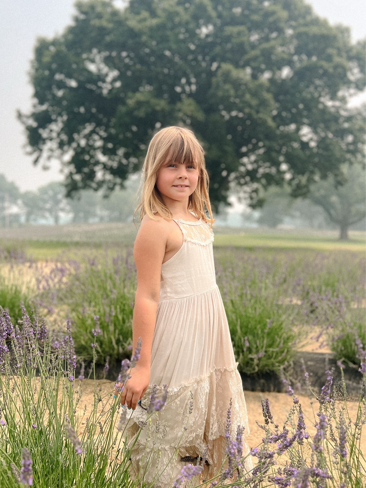 The most perfect dress for lavender picking! 

Girls lace dress, girls boho dress, girls flower girl dress, girls wedding guest dress

#LTKKids #LTKSaleAlert #LTKmomlife