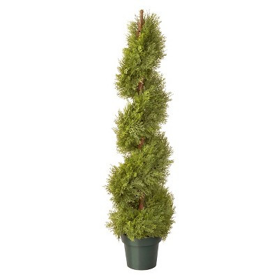 Arborvitae with Pot - Green (48") | Target