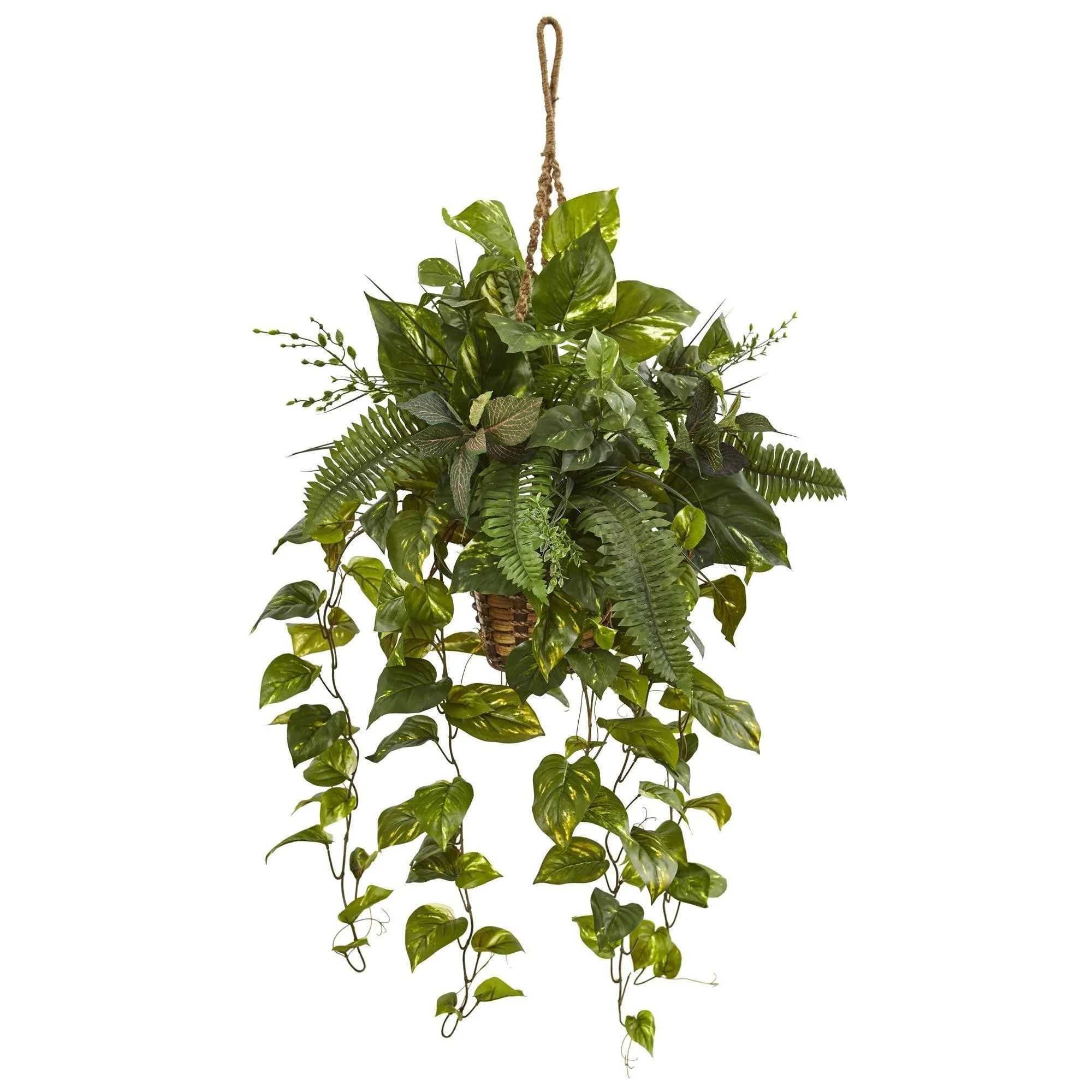 Mixed Pothos and Boston Fern in Hanging Basket | Nearly Natural | Nearly Natural