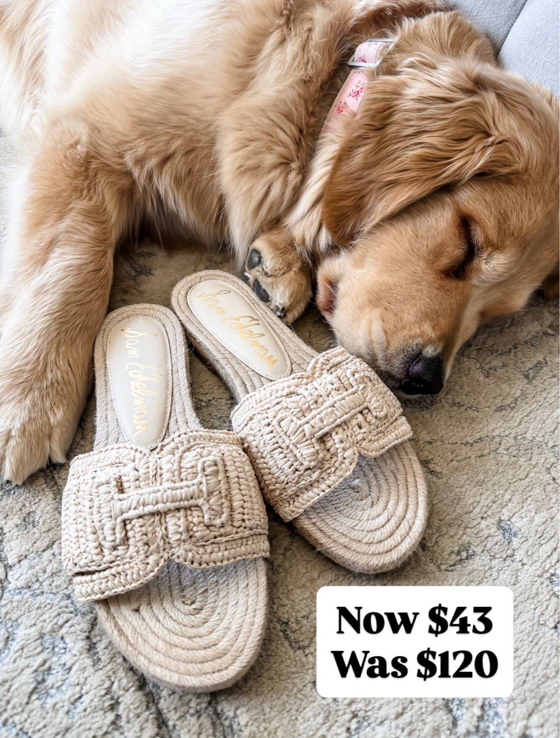 My most worn straw sandals now $43

#LTKSaleAlert #LTKOver40