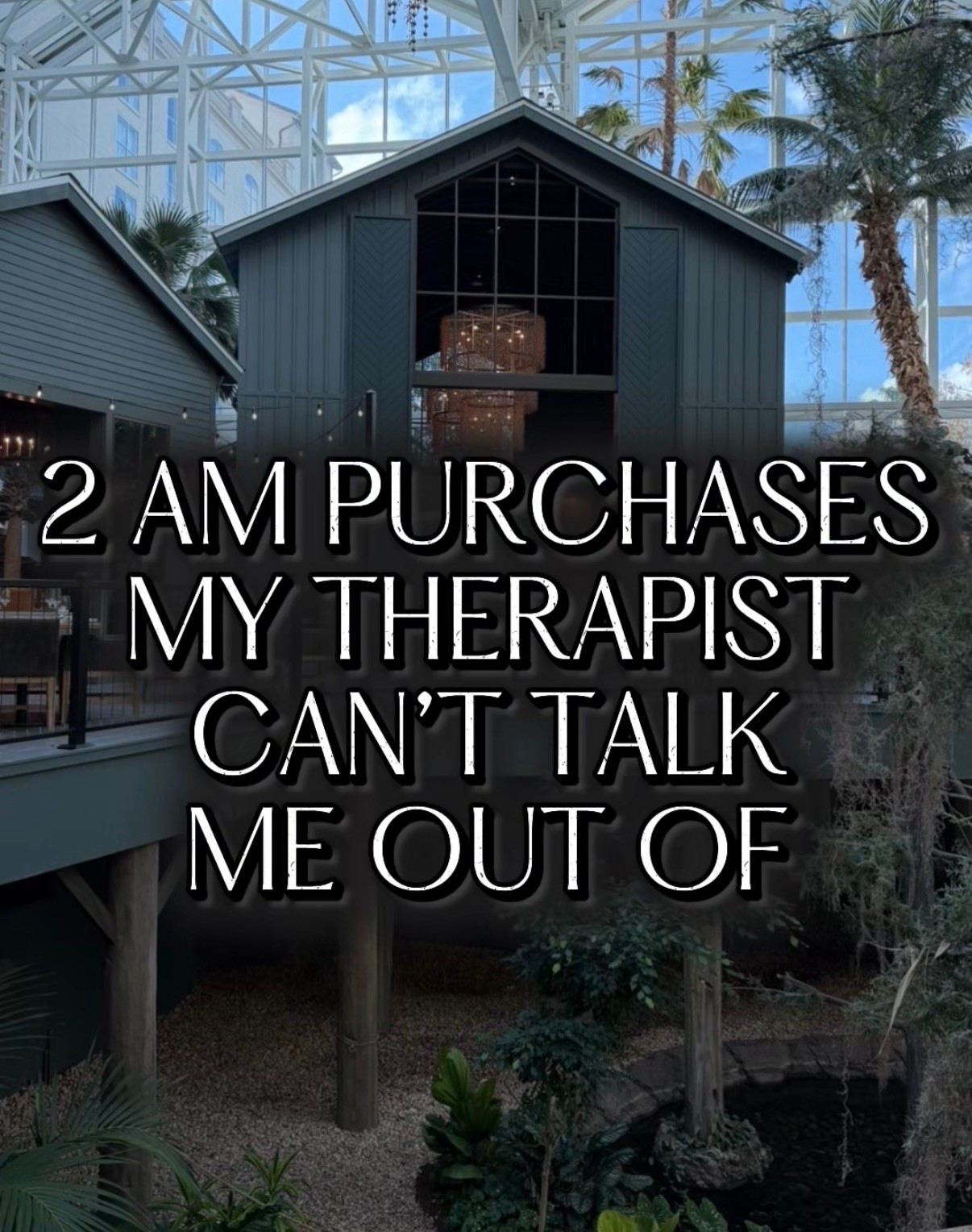 2 AM purchases my therapist can’t talk me out of