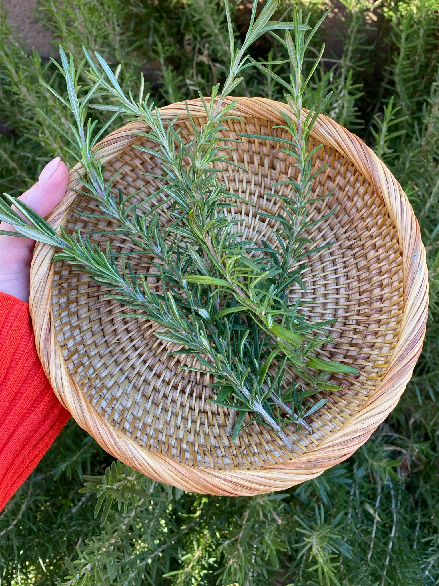 Rattan Basket Bread Baskets For Serving 

#LTKhome #LTKFind