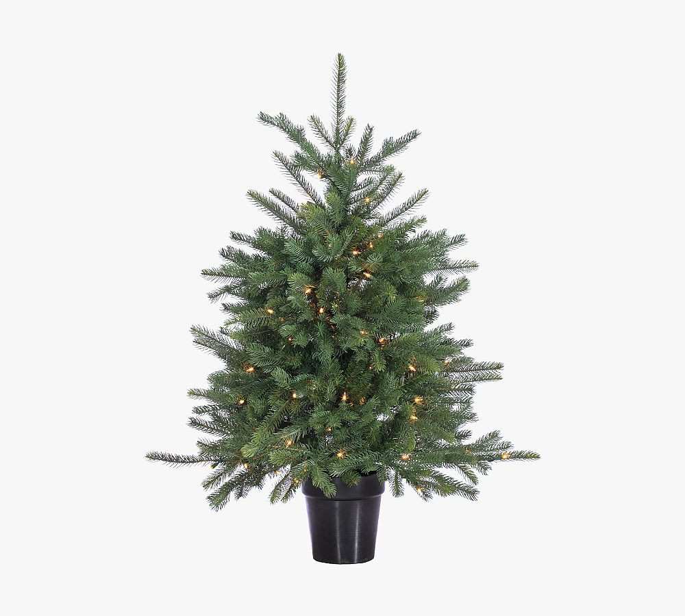Potted Pine Tree With Clear Lights, 2' | Pottery Barn (US)