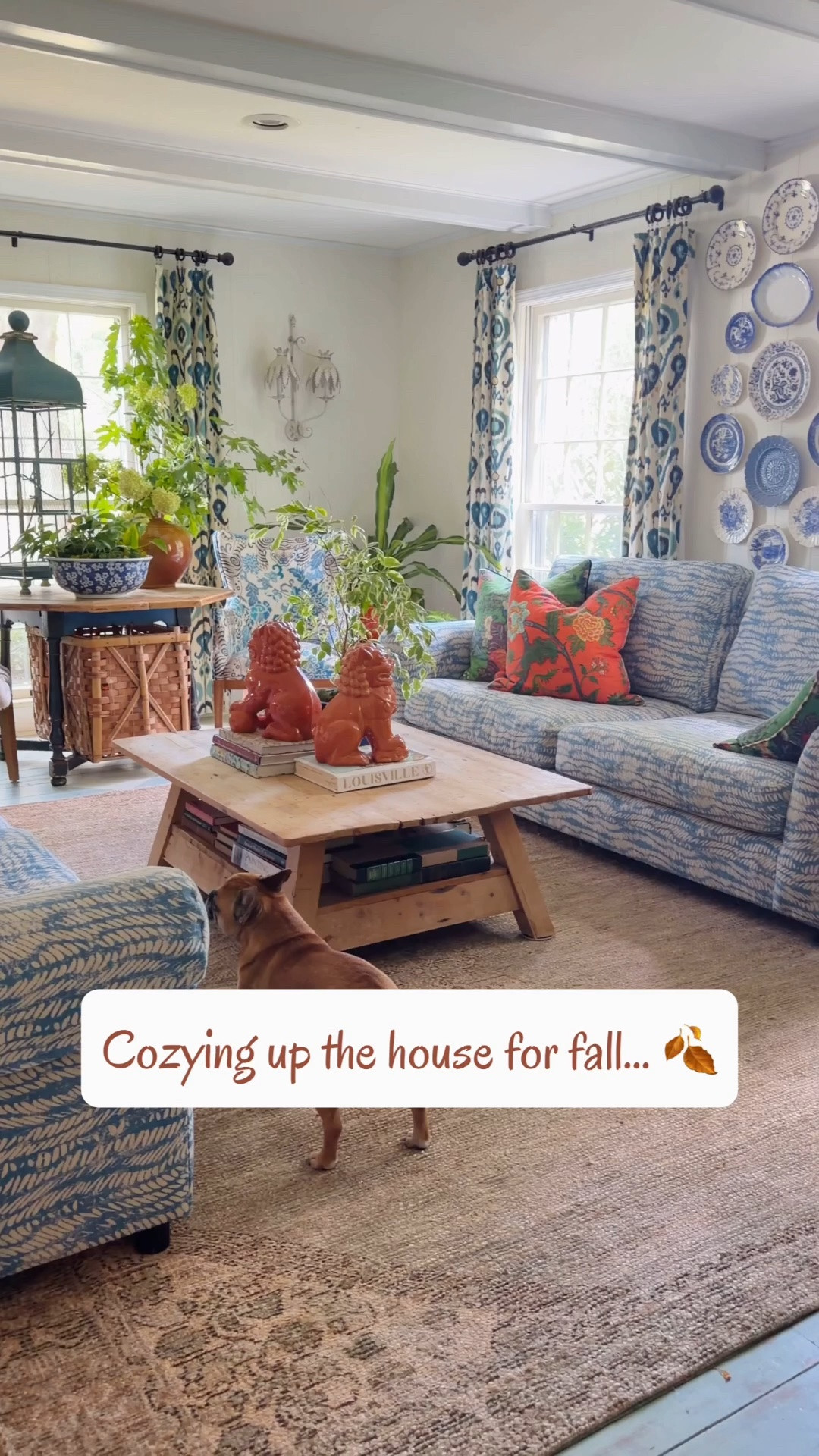 This room did not have a rug—and now I’m wondering why I waited so long! 🤎 

The new rug from the Oakley Collection by Magnolia Home by Joanna Gaines x @loloirugs instantly made the room feel warmer, softer and more complete. Its muted colors and traditional pattern ground all of my blue, green and orange without competing with the rest of the room.

And as you can see, it already has the dogs’ approval! I linked the rug on my LTK.

Gifted by @loloirugs. This post contains affiliate links.
@magnolia @joannagaines

#MagnoliaHome #LoloiRugs #RugRefresh #ColorfulInteriors #CollectedHome

#LTKHome #LTKSeasonal