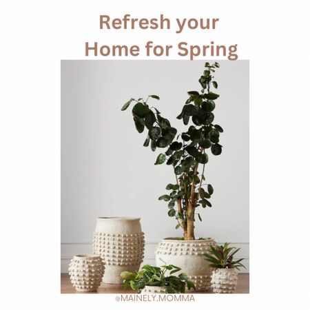 Refresh your home for spring! 

#plant #planting #gardening #garden #home #homedecor #bedroom #livingroom #office #decor #trend #trending #popular #mostloved #bestseller #spring #springdecor #minimalist #modern 

#LTKfindsunder100 #LTKhome #LTKSpringSale