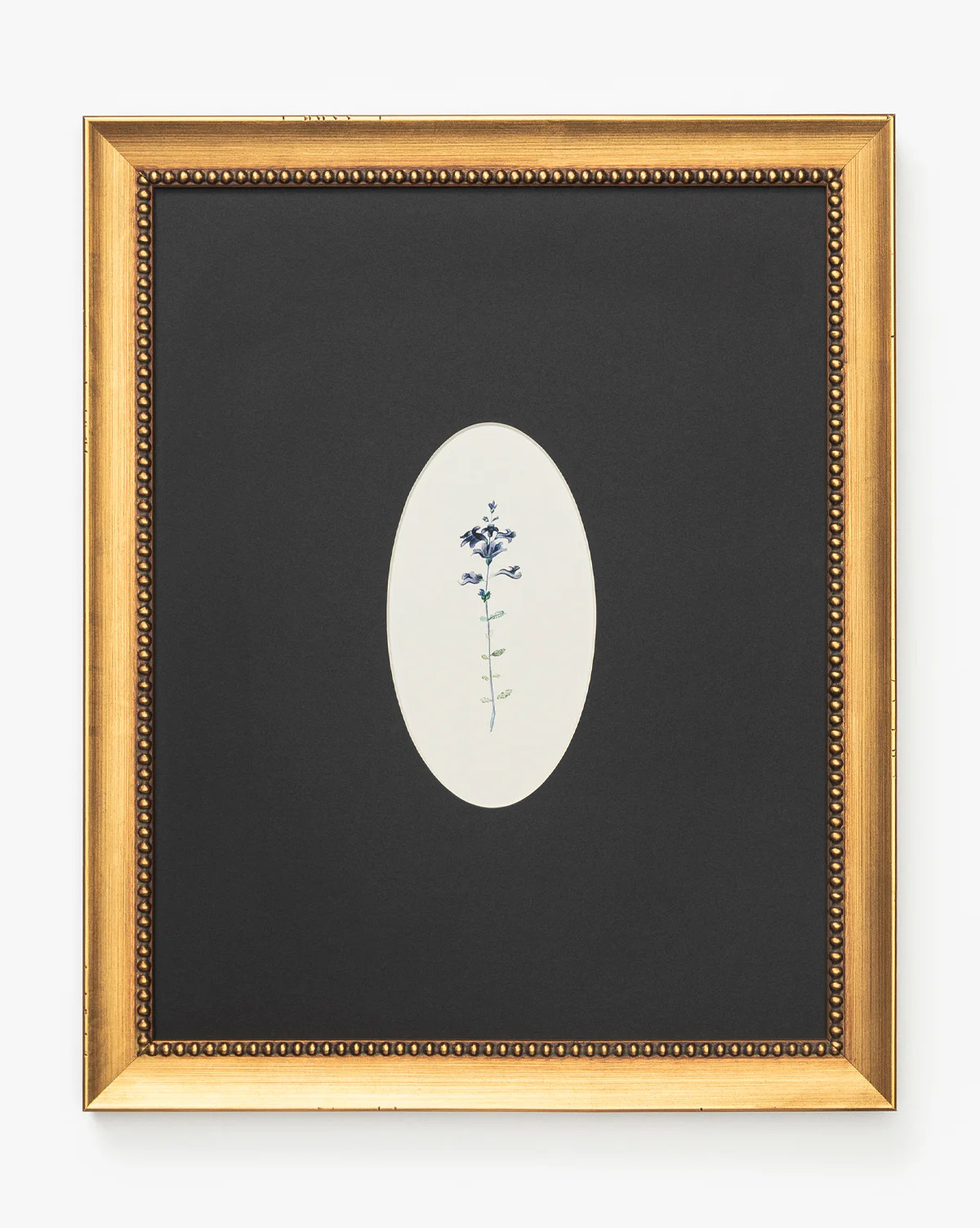 Single Blooms 3 | McGee & Co. (US)