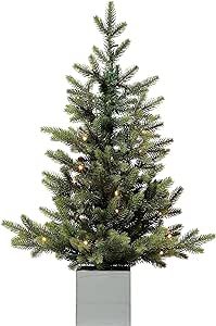 Haute Decor 30 Inch PRELIT Fraser FIR Potted Tree in Wooden Pot, 35 Warm White CONCAVE LED Lights... | Amazon (US)