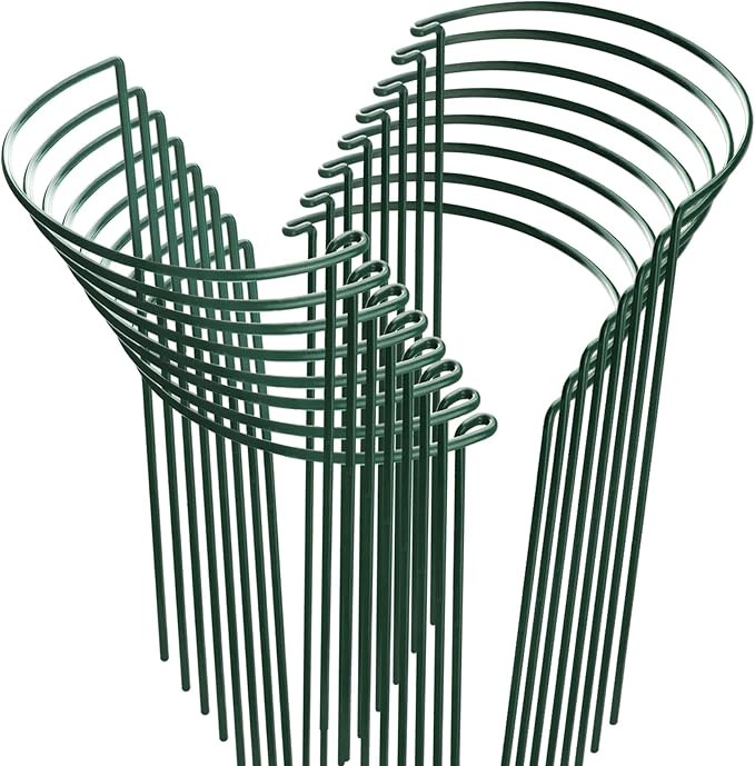 HiGift 16 Pack Plant Support Stakes, Half Round Metal Garden Plant Stake Indoor Peony Cages and S... | Amazon (US)